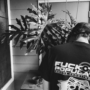 Meet your Posher, Dillon